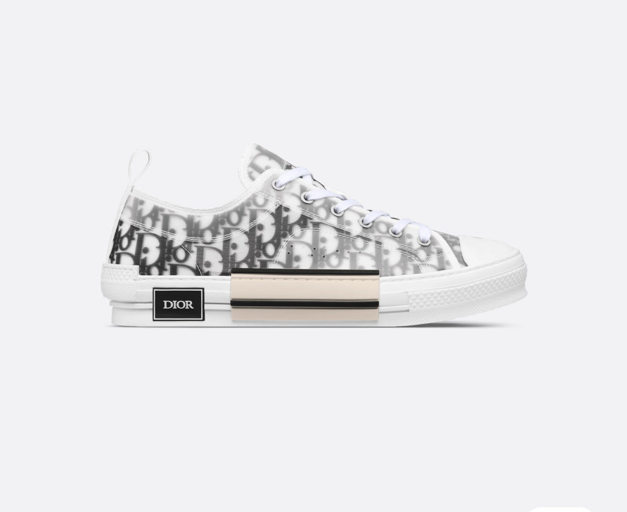 Dior B23 Low Top Sneaker